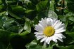 weigel017