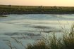 dscf0006