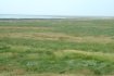 dscf0037