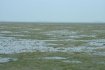 dscf0060