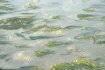 dscf0064