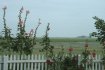 dscf0071