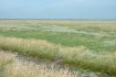 dscf0084