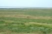 dscf0037
