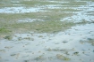 dscf0061