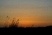 hooge_fruehlingsbild_001