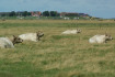 DSC04620